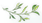 _1